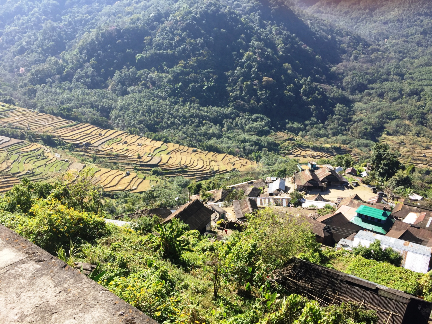 Terraced rice fields cascading below a Naga village in the hills of Nagaland