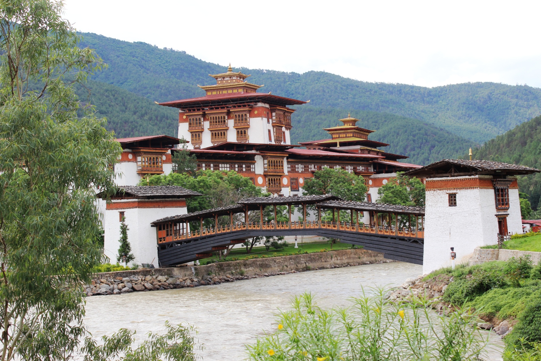 Punakha Dzong above the river, Bhutan