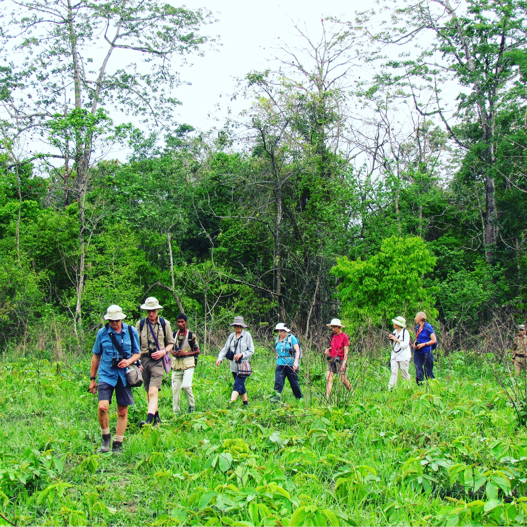 Exclusive Birding Expeditions
