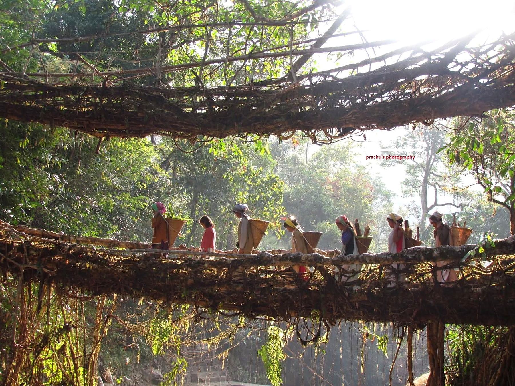 Luxury Cultural Expeditions